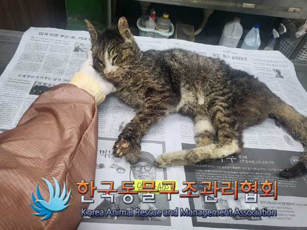 한국동물구조관리협회_411311202300392